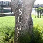 Das Ascari Race Resort ist der sonnige Winter-Treffpunkt für Rennsportbegeisterte