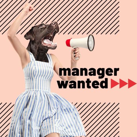 Gesucht: Kundenberater/Projektleiter (mit Online-Schwerpunkt) in Köln (m/w/d)