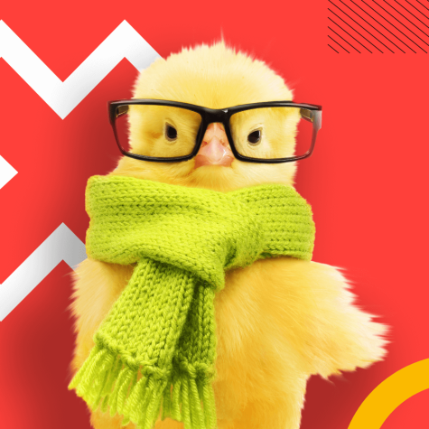 Gesucht: Online-Texter / Werkstudent Texter