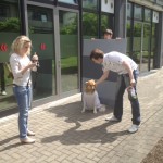 Gera, der Agenturhund, beim Fotoshooting der necom Werbeagentur in Köln